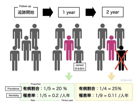 人年 計算|有病率と罹患率 